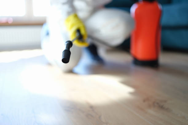 Environmental Consulting for Mold Prevention in Windsor, PA